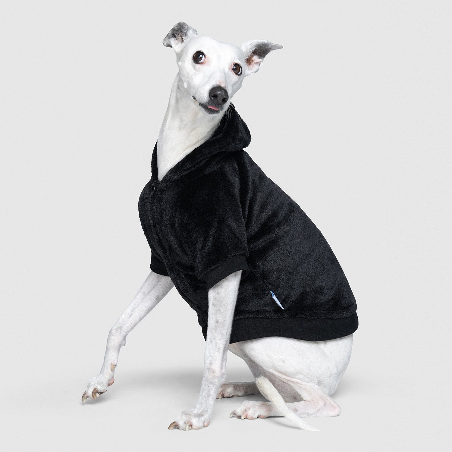 All Black Oodie™ Original Dog – The Oodie