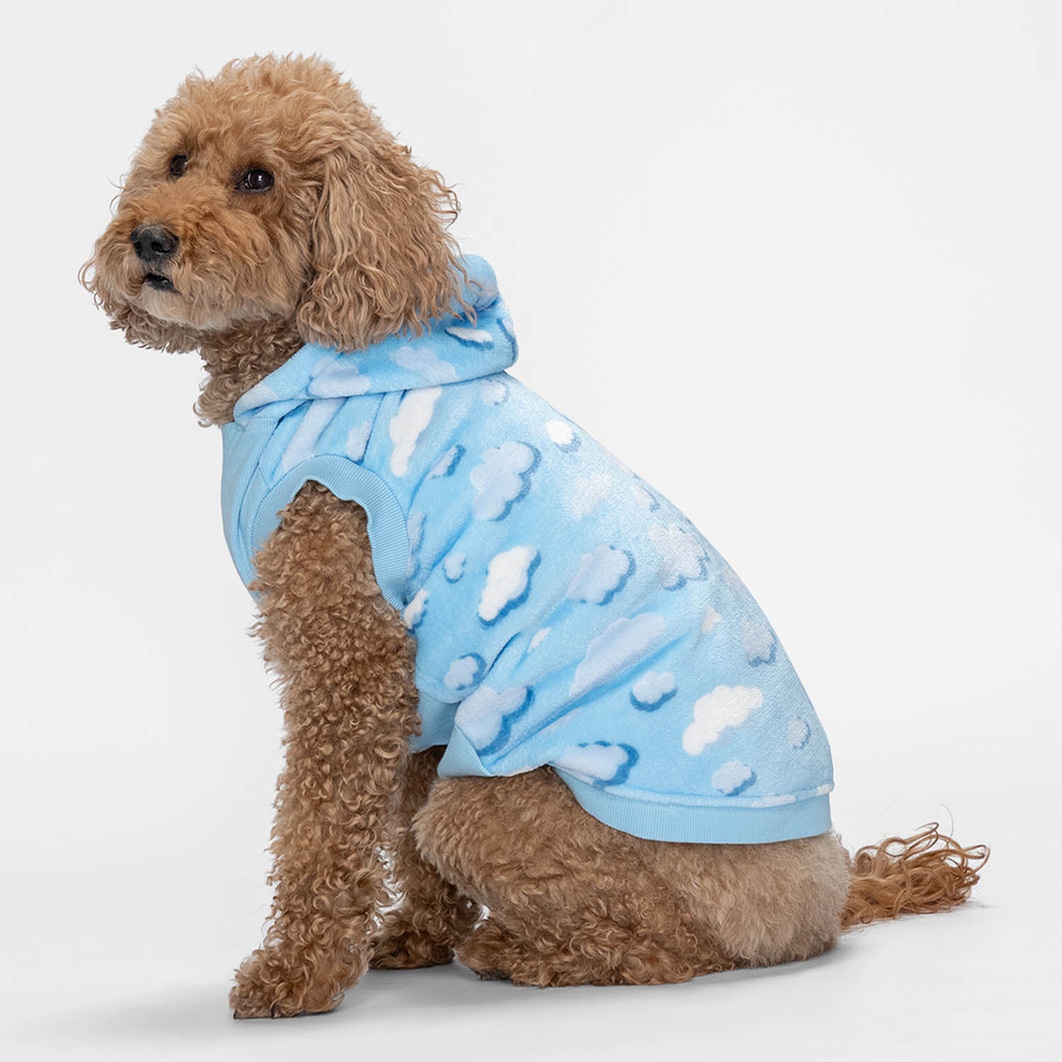 size: Kali - size XL, weight 13kg, age 10