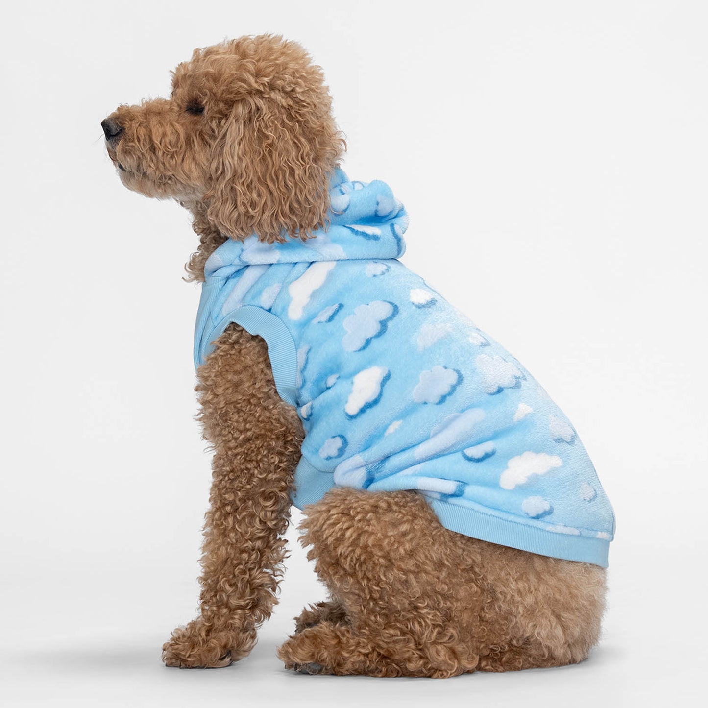 size: Kali - size XL, weight 13kg, age 10