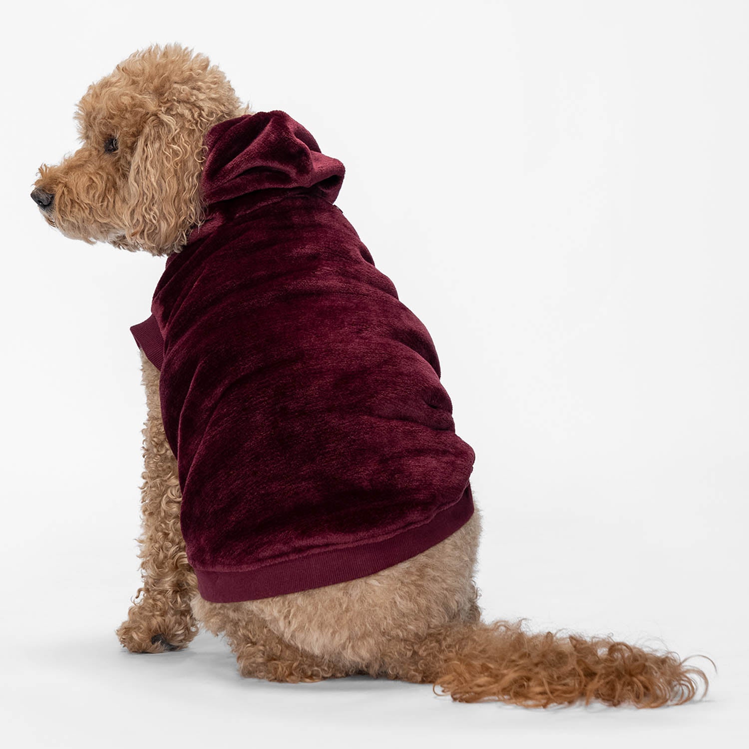 size: Kali - size XL, weight 13kg, age 10