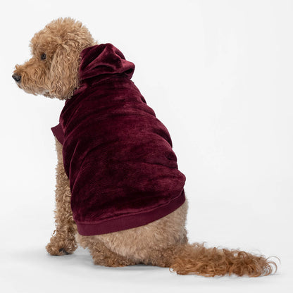 size: Kali - size XL, weight 13kg, age 10