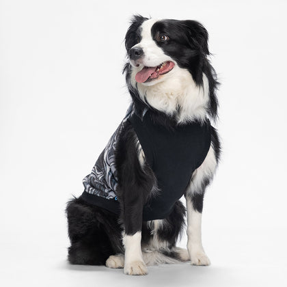 size: Misty is wearing a size XL