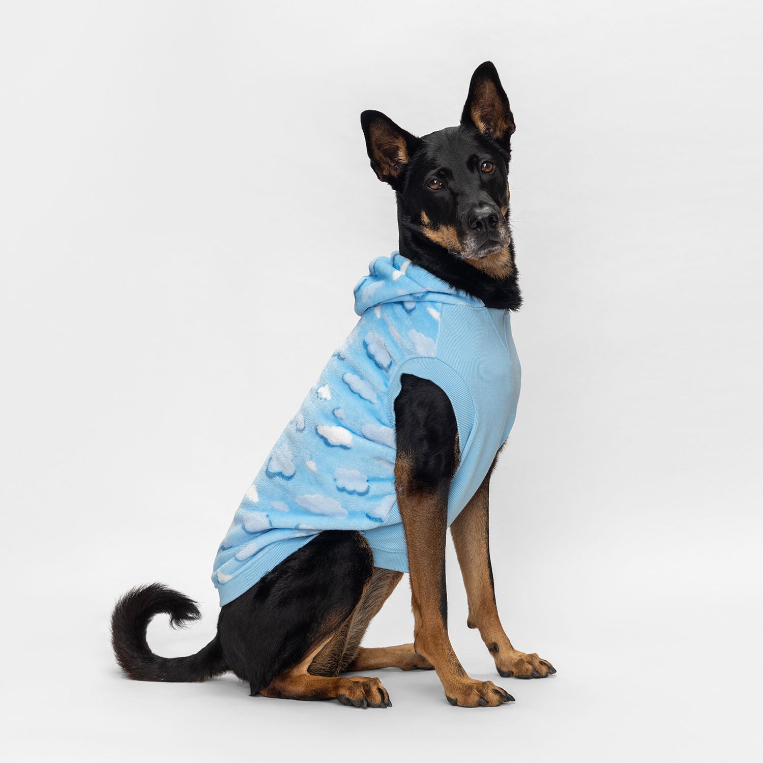 size: Yee Ho - size XL, weight 21kg, age 8