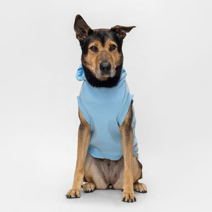 size: Luk Yuet is wearing a size XL