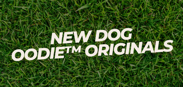 SPOIL YOUR FURRY FRIEND