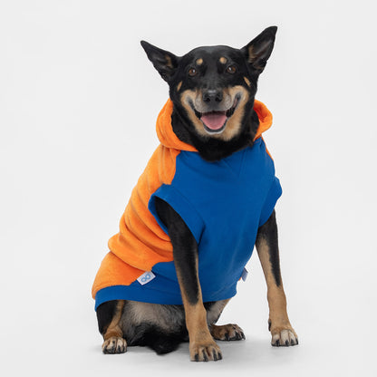 size: Lo is a Kelpie wearing a size XL