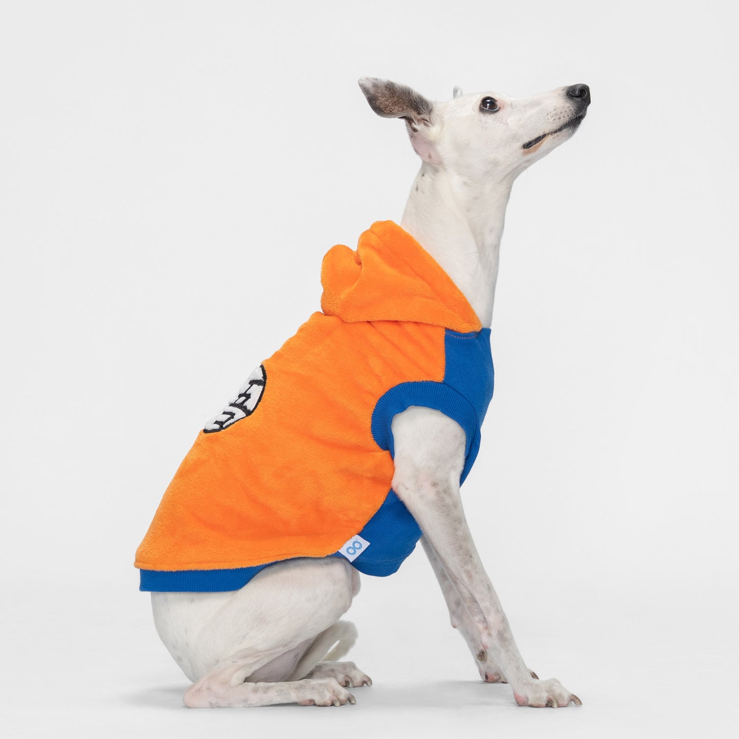size: Lilly - size M, weight 10kg, age 10