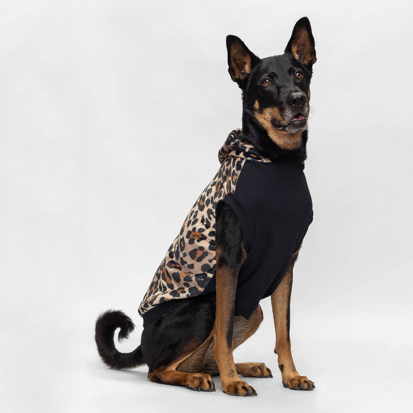 size: Yee Ho - size XL, weight 21kg, age 8