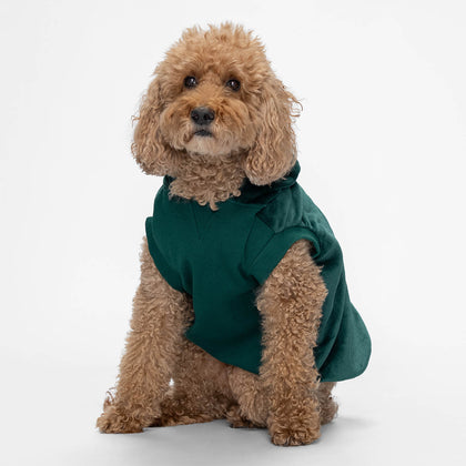 size: Kali is wearing a size XL