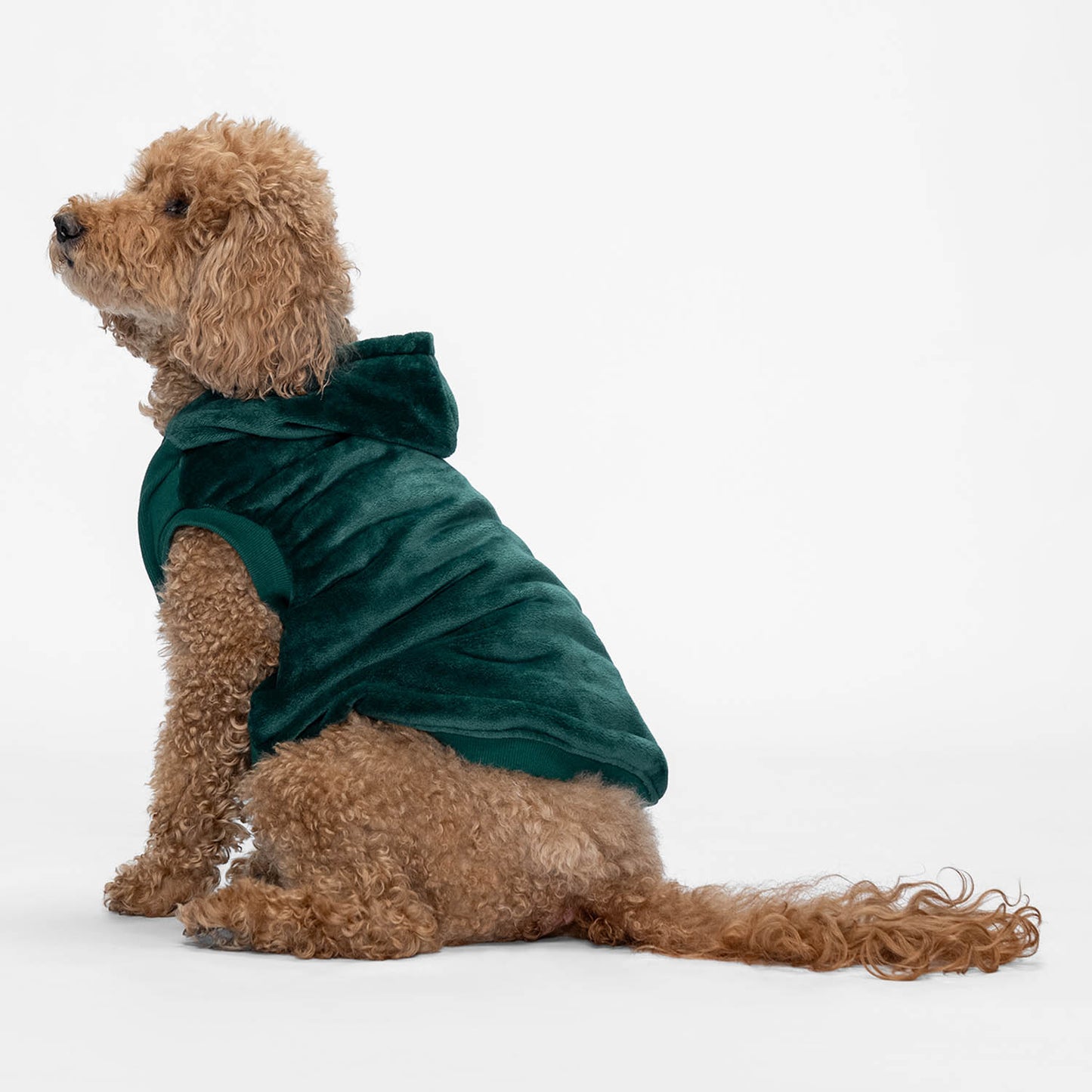 size: Kali - size XL, weight 13kg, age 10