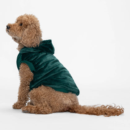 size: Kali is wearing a size XL