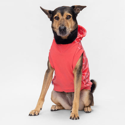 size: Luk Yuet is wearing a size XL