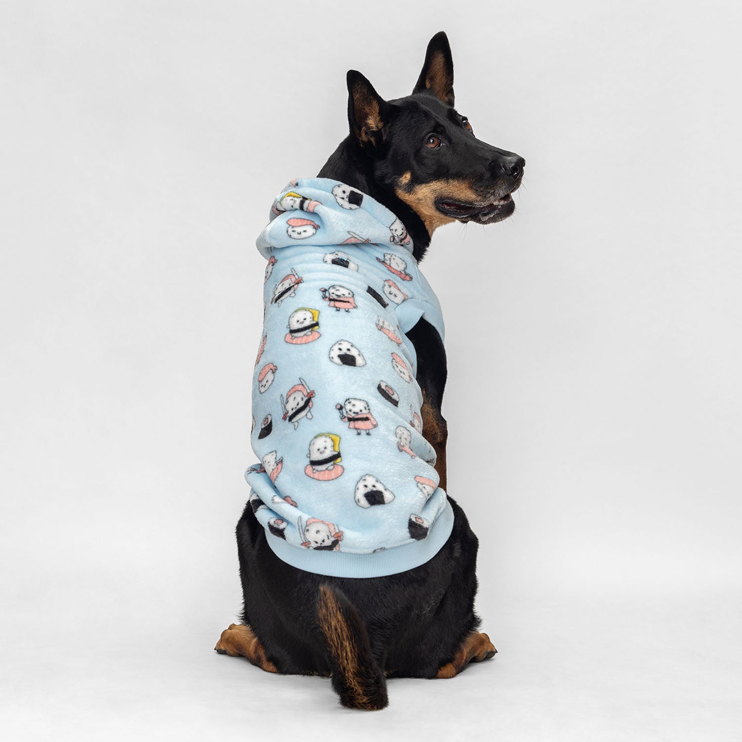 size: Yee Ho - size XL, weight 21kg, age 8