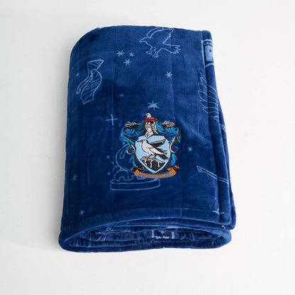 Harry Potter Ravenclaw