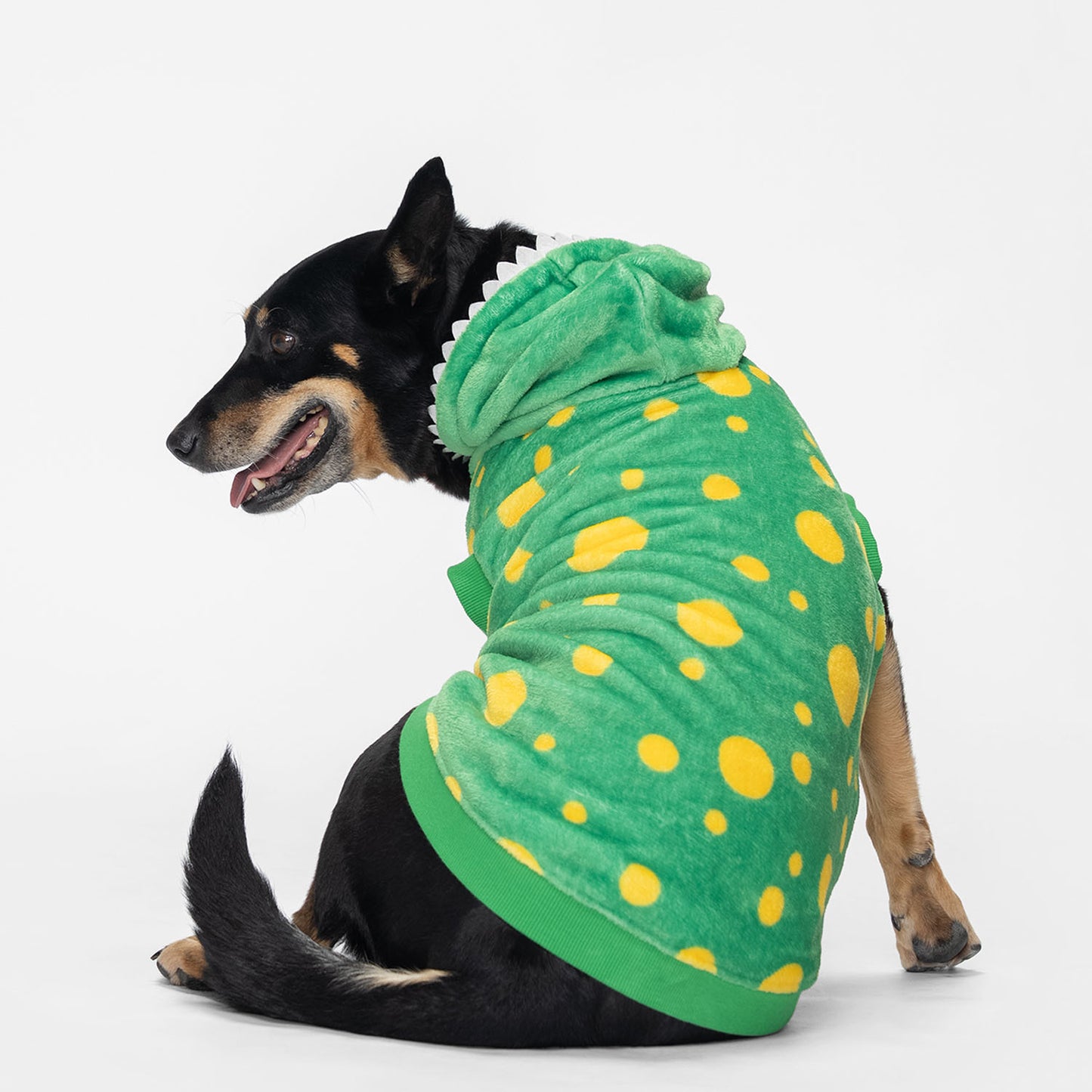 size: Lo - size XL, weight 17kg, age 10